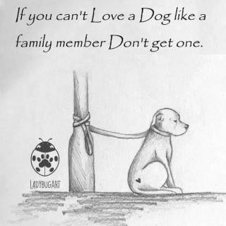 Please don’t get a dog if you aren’t going to take care of them